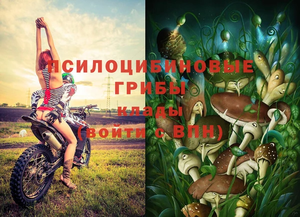 винт Магас
