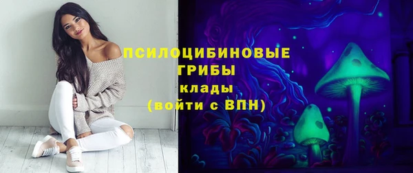 ешки Лиски
