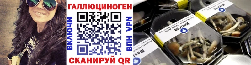 Псилоцибиновые грибы Psilocybine cubensis  Уссурийск 