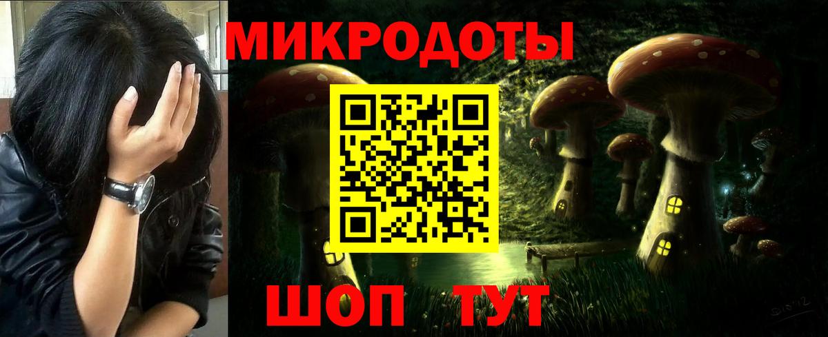 Псилоцибиновые грибы Psilocybe Уссурийск