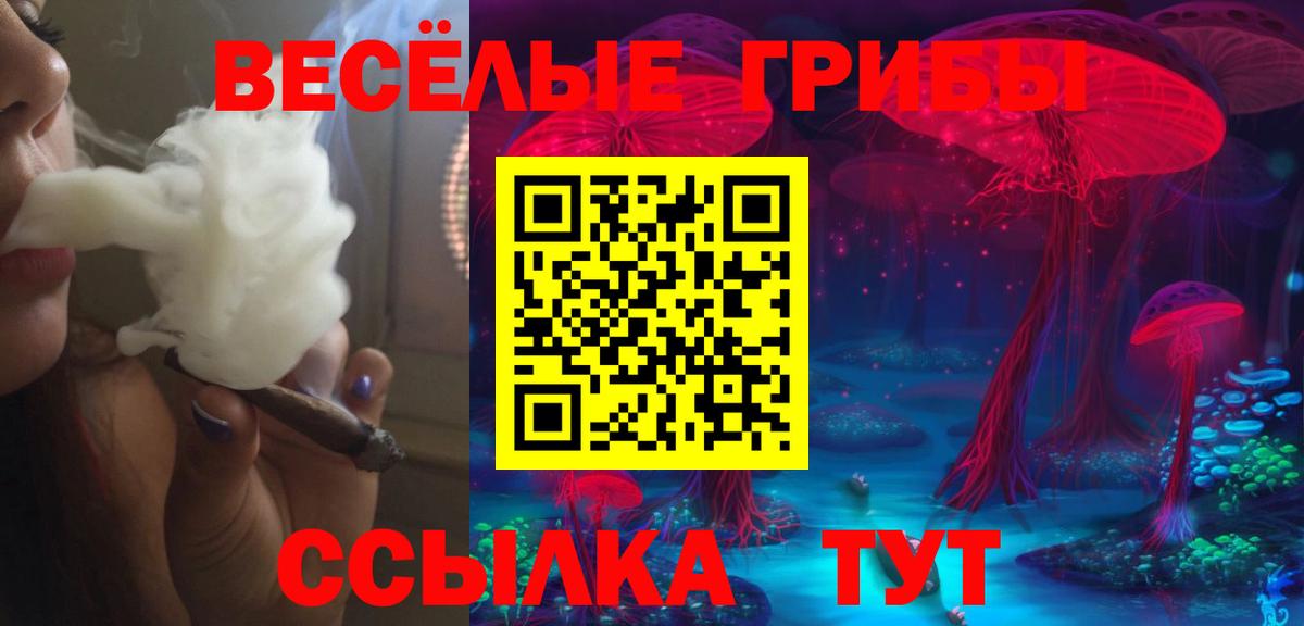 Псилоцибиновые грибы мухоморы  Галлюциногенные грибы GOLDEN TEACHER  цена наркотик  Уссурийск 